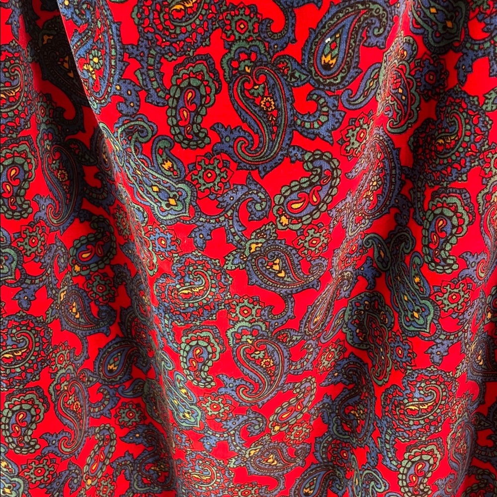 Paisley Velvet Hand Crafted Maxi Skirt